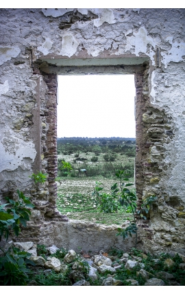 Ruins of Essaouira 09 Daniel Vuillemin