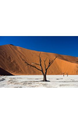 Sossusvlei 01 - Namibie - Edition limitée, tirage couleur grand format- Nature