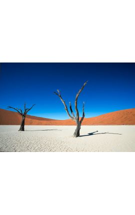 Sossusvlei 02 - Namibie - Edition limitée, tirage couleur grand format- Nature