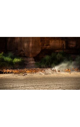 Tchad Guelta d'Archei 19 - Achat photographie d'art en édition limitée