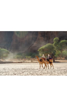 Tchad Guelta d'Archei 19 - Achat photographie d'art en édition limitée