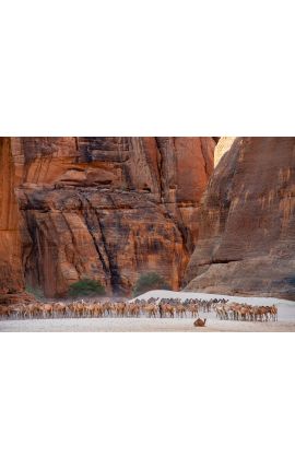 Tchad Guelta d'Archei 19 - Achat photographie d'art en édition limitée