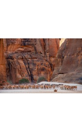 Tchad Guelta d'Archei 02 - Achat photographie d'art en édition limitée