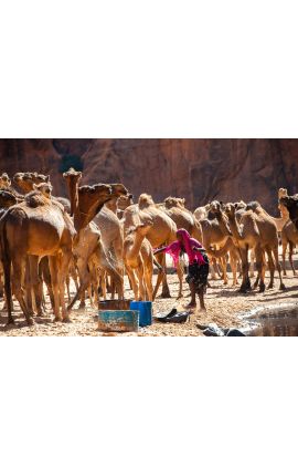 Tchad Guelta d'Archei 06 - Achat photographie d'art en édition limitée