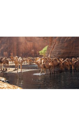 Tchad Guelta d'Archei 07 - Achat photographie d'art en édition limitée