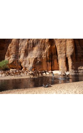 Tchad Guelta d'Archei 08 - Achat photographie d'art en édition limitée