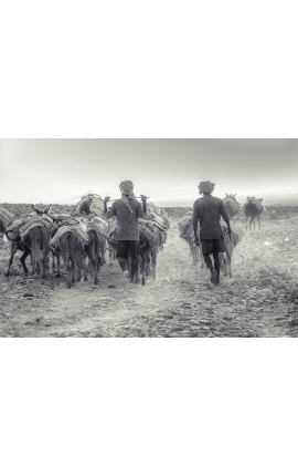 Route du sel 06 photographie en édition limitée Ethiopie